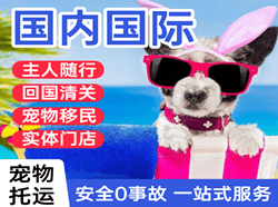 韶关机场货运国际宠物托运 【国